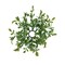 Boxwood Candle Ring Green Faux Foliage Spring Summer Decor - Set of 4
